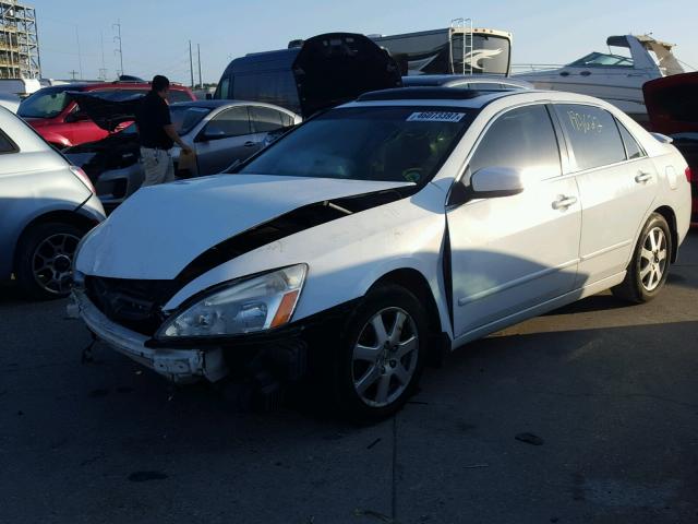 1HGCM66855A059520 - 2005 HONDA ACCORD EX WHITE photo 2