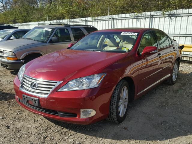 JTHBK1EG5B2458573 - 2011 LEXUS ES 350 RED photo 2