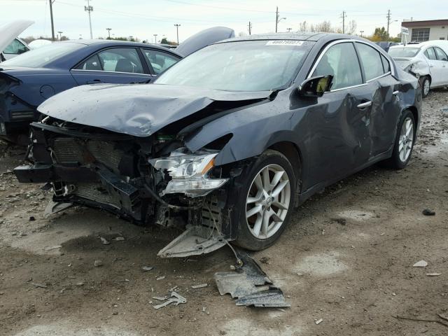 1N4AA5AP4AC820565 - 2010 NISSAN MAXIMA S GRAY photo 2