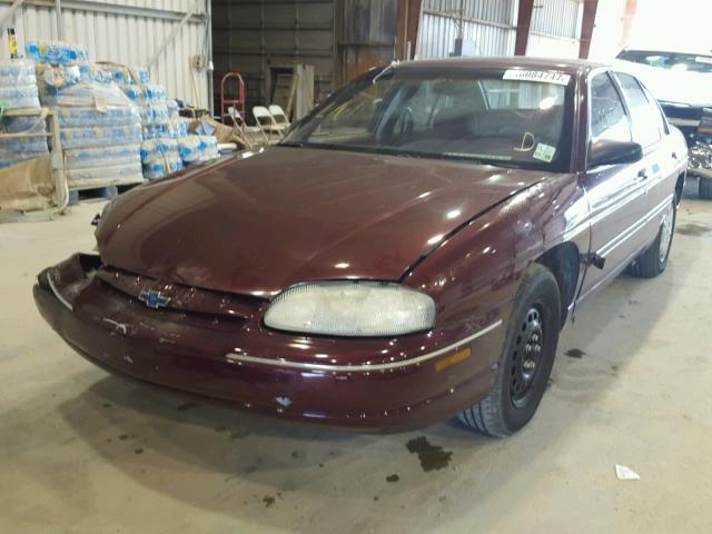 2G1WL52M8T1115171 - 1996 CHEVROLET LUMINA MAROON photo 2