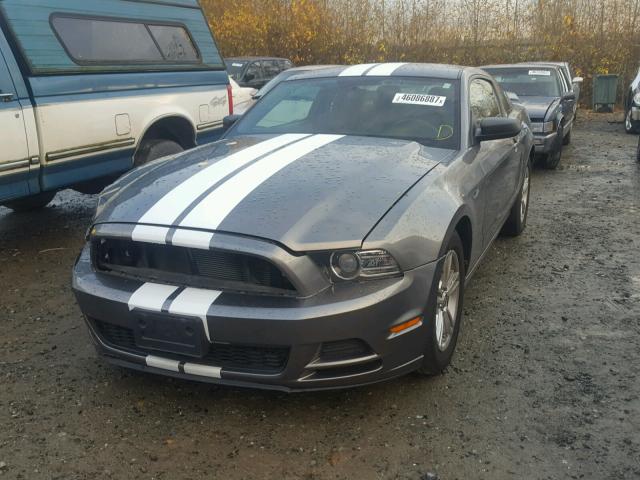 1ZVBP8AM9E5205392 - 2014 FORD MUSTANG GRAY photo 2