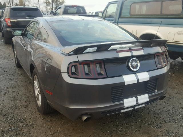 1ZVBP8AM9E5205392 - 2014 FORD MUSTANG GRAY photo 3