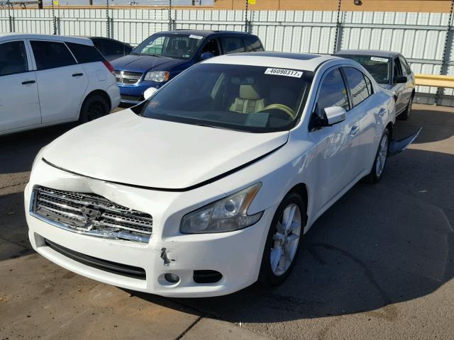 1N4AA51E89C806887 - 2009 NISSAN MAXIMA S WHITE photo 2