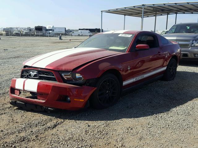 1ZVBP8AM2C5274616 - 2012 FORD MUSTANG RED photo 2