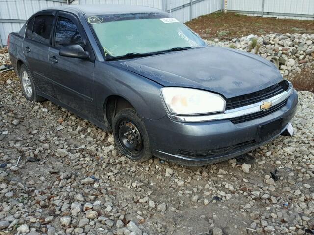 1G1ZT52815F290423 - 2005 CHEVROLET MALIBU LS GRAY photo 1