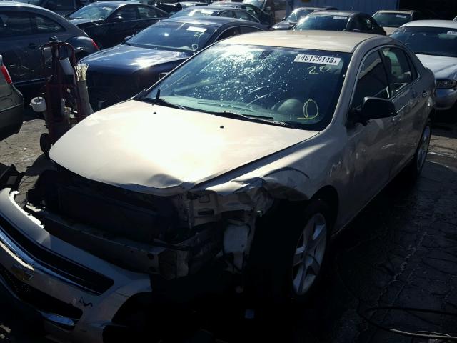 1G1ZB5E07CF202223 - 2012 CHEVROLET MALIBU LS 米色 照片 2
