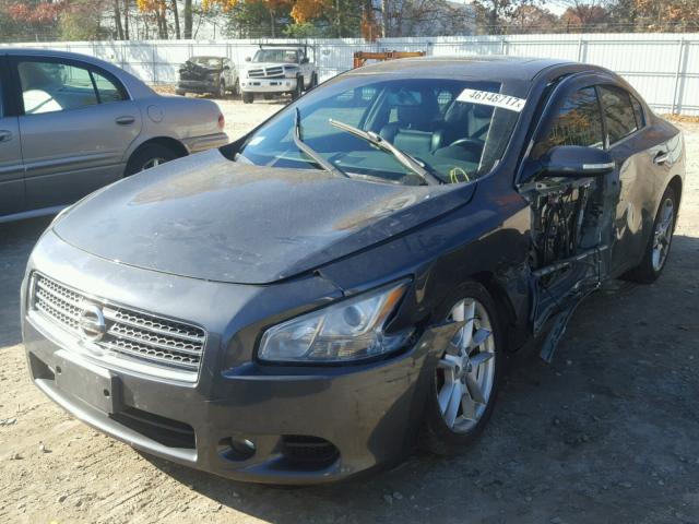 1N4AA51EX9C831211 - 2009 NISSAN MAXIMA S GRAY photo 2