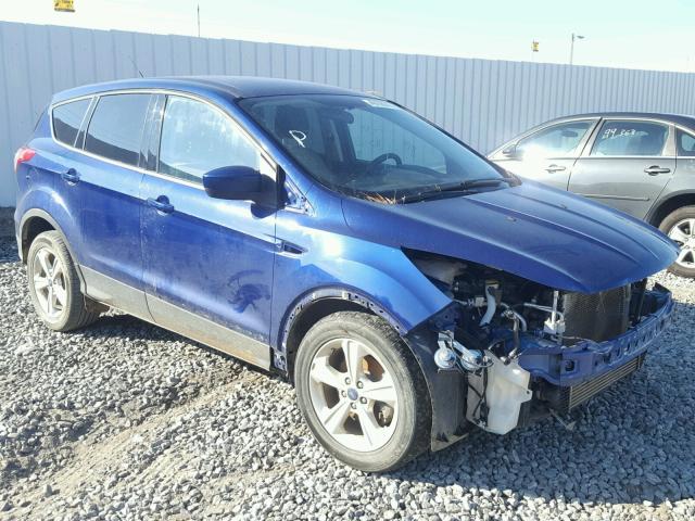 1FMCU0GX6DUC63060 - 2013 FORD ESCAPE SE BLUE photo 1