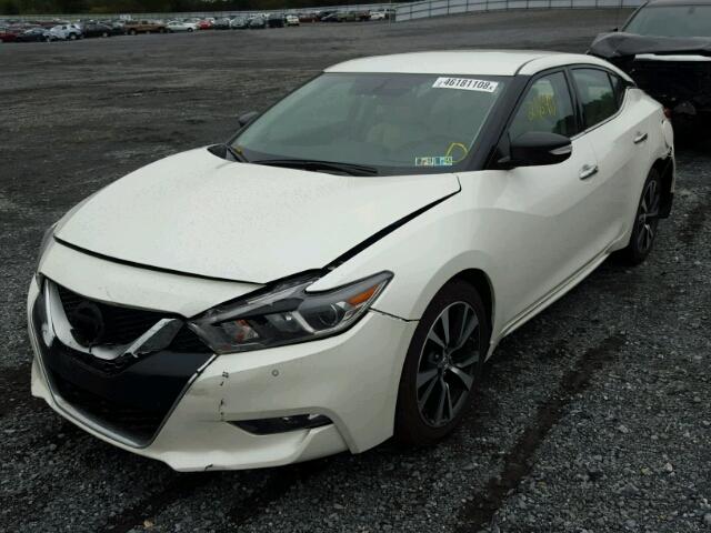 1N4AA6AP2GC434841 - 2016 NISSAN MAXIMA 3.5 WHITE photo 2