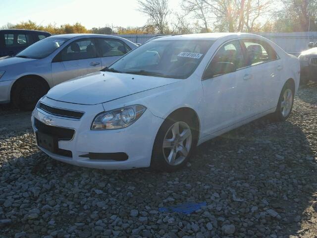 1G1ZB5EU5CF134121 - 2012 CHEVROLET MALIBU LS თეთრი ფოტო 2