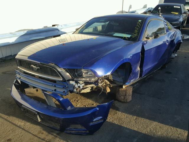 1ZVBP8AM3E5267127 - 2014 FORD MUSTANG BLUE photo 2