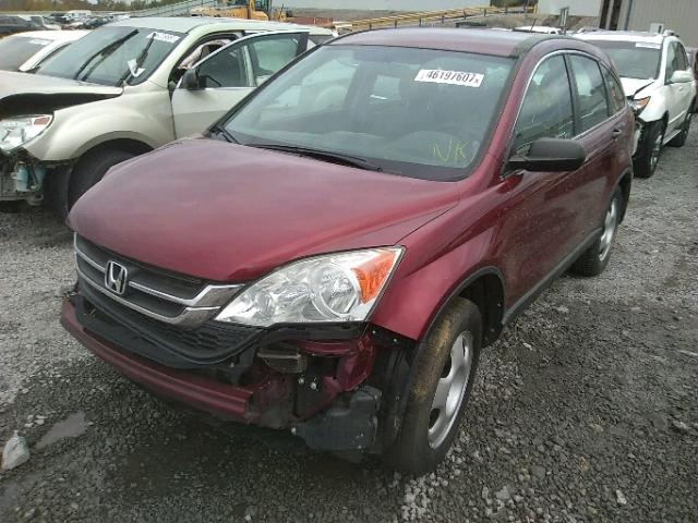 3CZRE3H38BG704092 - 2011 HONDA CR-V LX BURGUNDY photo 2