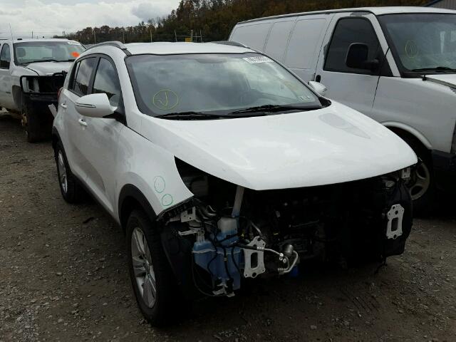 KNDPB3A21C7333748 - 2012 KIA SPORTAGE B WHITE photo 1