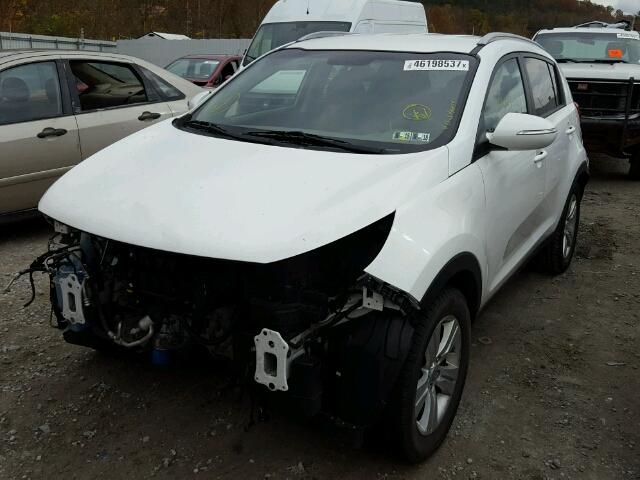 KNDPB3A21C7333748 - 2012 KIA SPORTAGE B WHITE photo 2