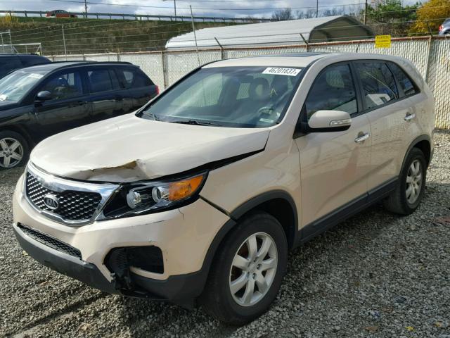 5XYKT3A13BG007871 - 2011 KIA SORENTO BA CREAM photo 2