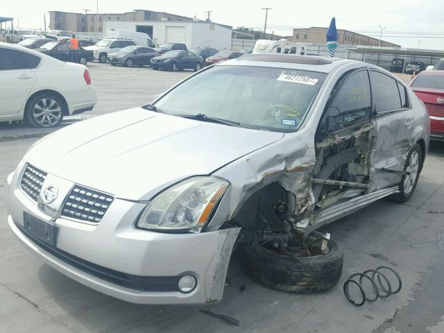 1N4BA41E96C853095 - 2006 NISSAN MAXIMA SE SILVER photo 2