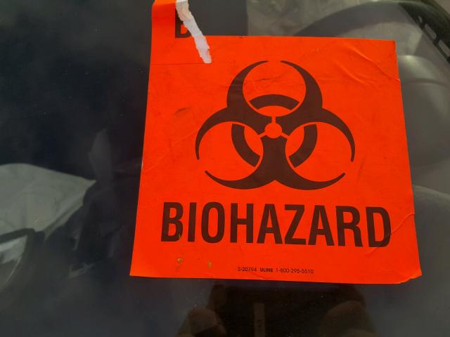 3VWBA21CXYM481715 - 2000 VOLKSWAGEN NEW BEETLE Sarı foto 5