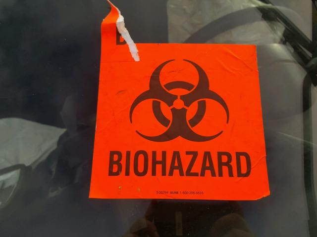 3VWBA21CXYM481715 - 2000 VOLKSWAGEN NEW BEETLE Sarı foto 6