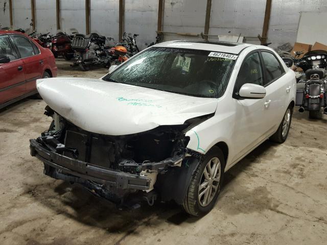 KNAFU4A23C5531588 - 2012 KIA FORTE EX WHITE photo 2