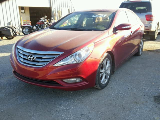 5NPEC4AC0DH696557 - 2013 HYUNDAI SONATA SE MAROON photo 2