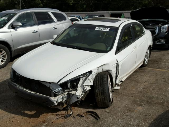 1HGCP26888A044529 - 2008 HONDA ACCORD EXL WHITE photo 2