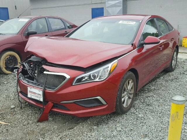 5NPE24AF1GH368937 - 2016 HYUNDAI SONATA SE MAROON photo 2