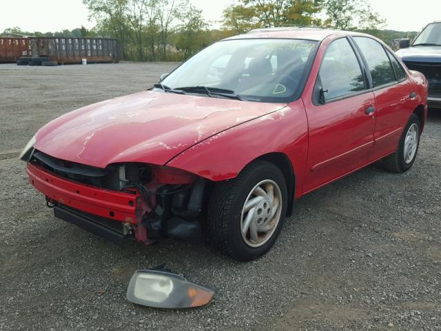 1G1JC52F147267499 - 2004 CHEVROLET CAVALIER RED photo 2