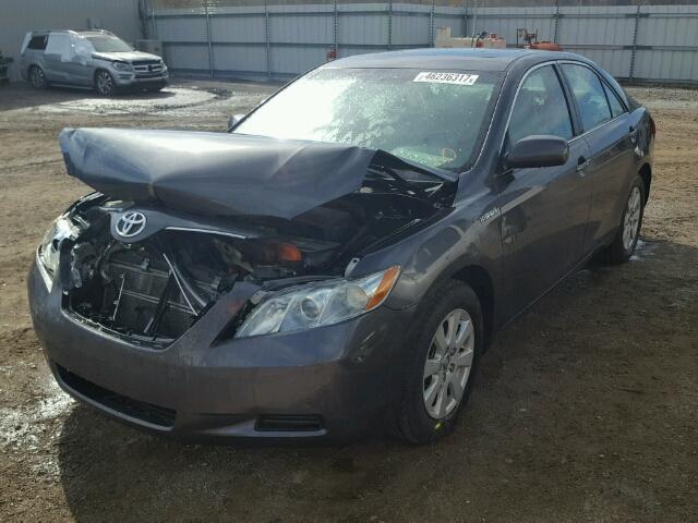 4T1BB46K58U044398 - 2008 TOYOTA CAMRY GRAY photo 2