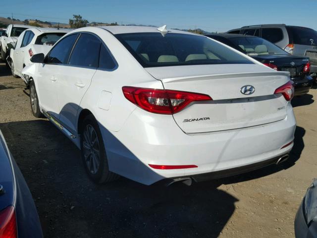 5NPE34AFXFH241812 - 2015 HYUNDAI SONATA SPO WHITE photo 3