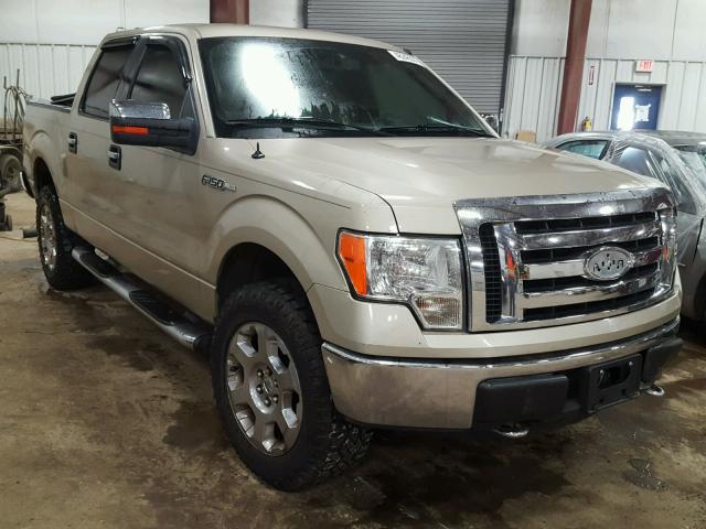 1FTPW14V59FA42411 - 2009 FORD F150 GOLD photo 1