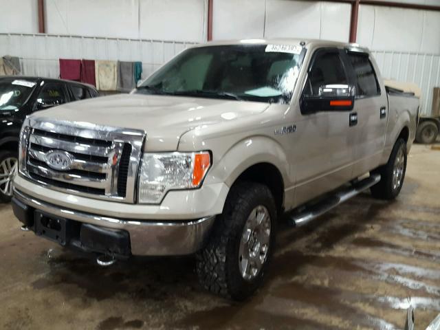 1FTPW14V59FA42411 - 2009 FORD F150 GOLD photo 2