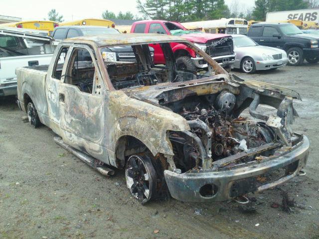 1FTEX1EM3DFA33676 - 2013 FORD F150 SUPER BURN photo 1