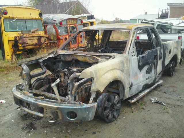 1FTEX1EM3DFA33676 - 2013 FORD F150 SUPER BURN photo 2