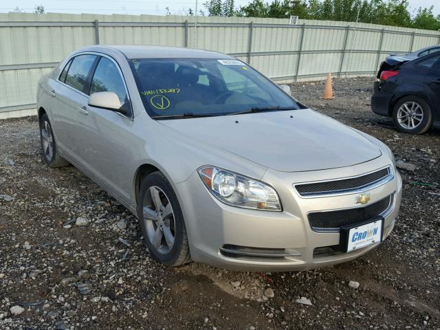 1G1ZC5EUXBF133297 - 2011 CHEVROLET MALIBU 1LT 米色 照片 1