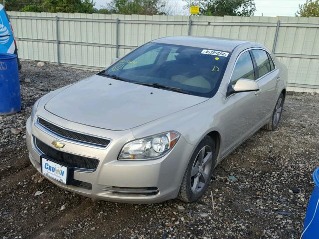 1G1ZC5EUXBF133297 - 2011 CHEVROLET MALIBU 1LT 米色 照片 2