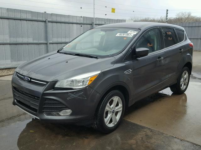 1FMCU0G71GUC89179 - 2016 FORD ESCAPE GRAY photo 2