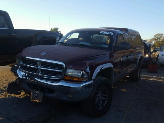 1B7GG22N61S189466 - 2001 DODGE DAKOTA MAROON photo 2