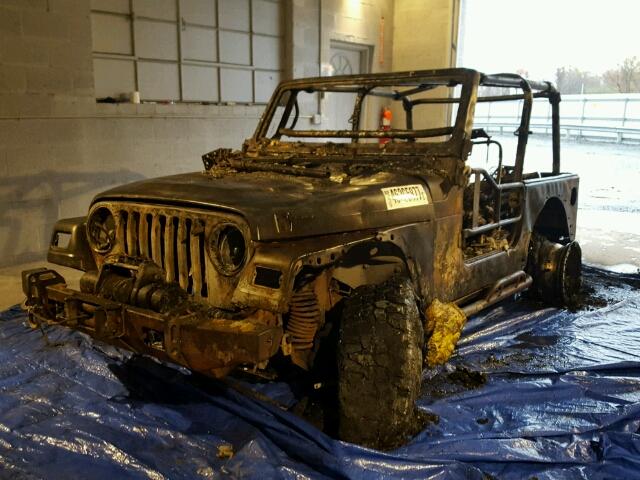 1J4FY19S0WP724083 - 1998 JEEP WRANGLER / BURN photo 2