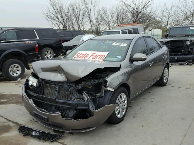 KNAFU4A28A5839269 - 2010 KIA FORTE BROWN photo 2