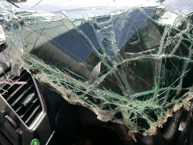 2HGFG3B05FH517143 - 2015 HONDA CIVIC EXL Qara foto 8