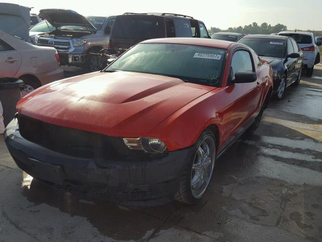 1ZVBP8AM0C5228590 - 2012 FORD MUSTANG RED photo 2