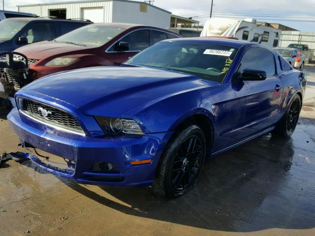 1ZVBP8AM5E5257070 - 2014 FORD MUSTANG BLUE photo 2