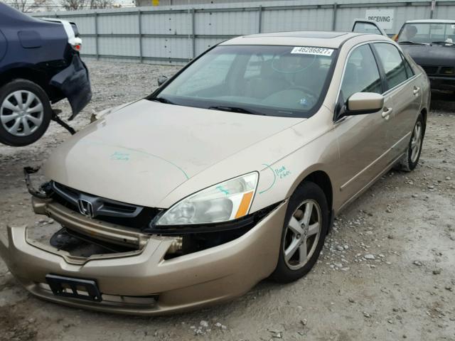 1HGCM568X4A124175 - 2004 HONDA ACCORD GOLD photo 2