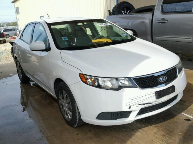 KNAFT4A28B5888010 - 2011 KIA FORTE LX WHITE photo 1