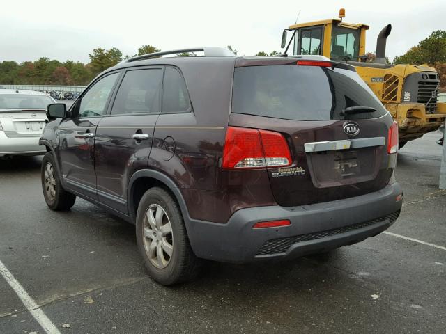 5XYKTCA12BG100557 - 2011 KIA SORENTO BA MAROON photo 3