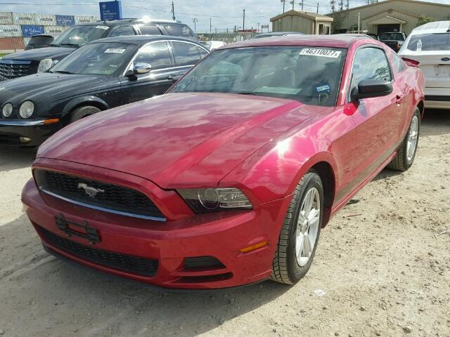 1ZVBP8AM6D5277536 - 2013 FORD MUSTANG RED photo 2