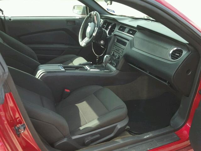 1ZVBP8AM6D5277536 - 2013 FORD MUSTANG RED photo 5