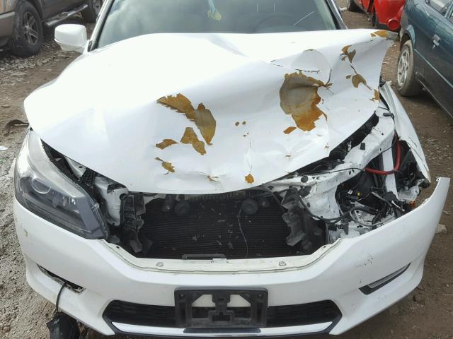 1HGCR2F74FA268508 - 2015 HONDA ACCORD EX WHITE photo 7