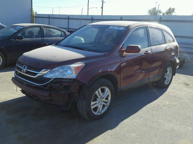 5J6RE4H73AL074220 - 2010 HONDA CR-V EXL RED photo 2