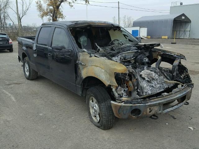 1FTFW1EF6EFA79545 - 2014 FORD F150 SUPER BLACK photo 1